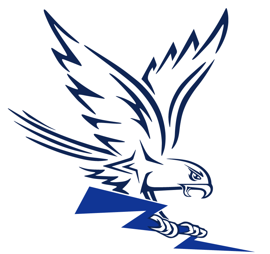 Air Force Falcons 2022-Pres Secondary Logo diy iron on heat transfer